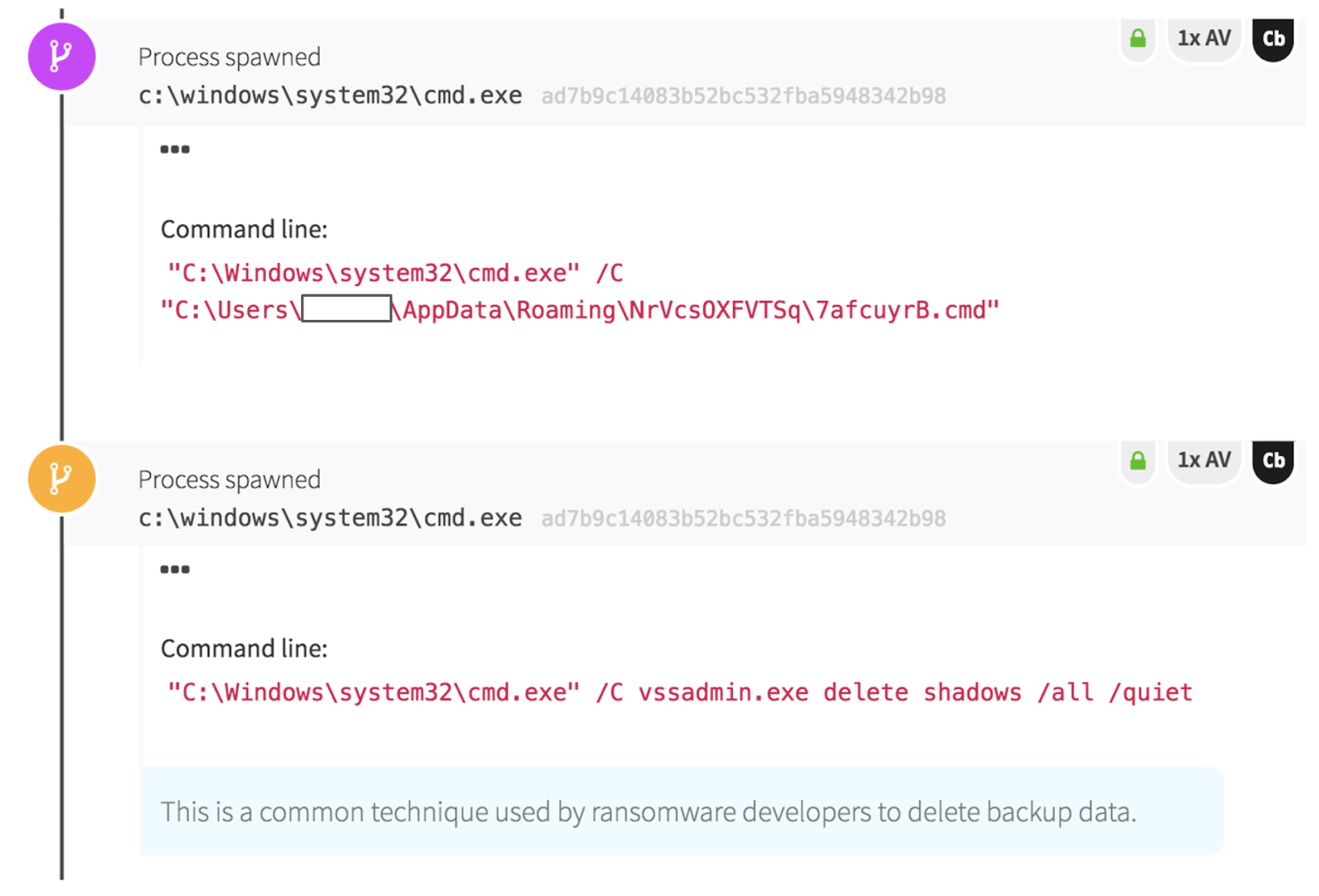 Detecting Ransomware